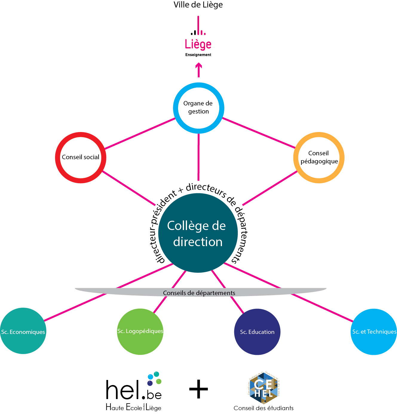 Organigramme fonctionnel HEL